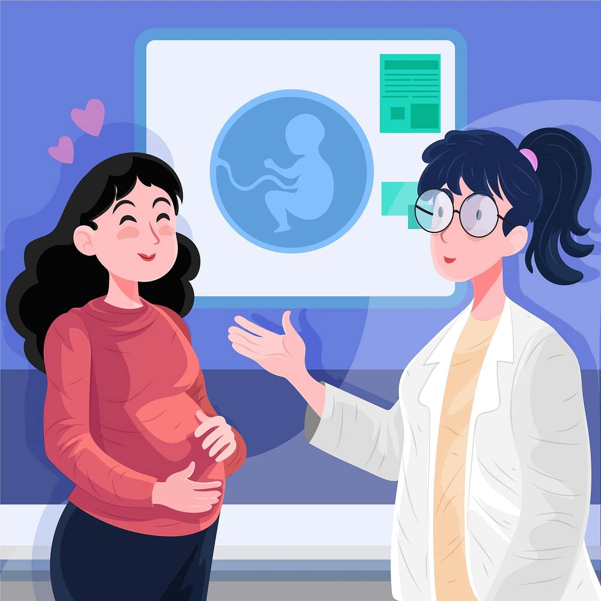 Detailed pregnancy illustration