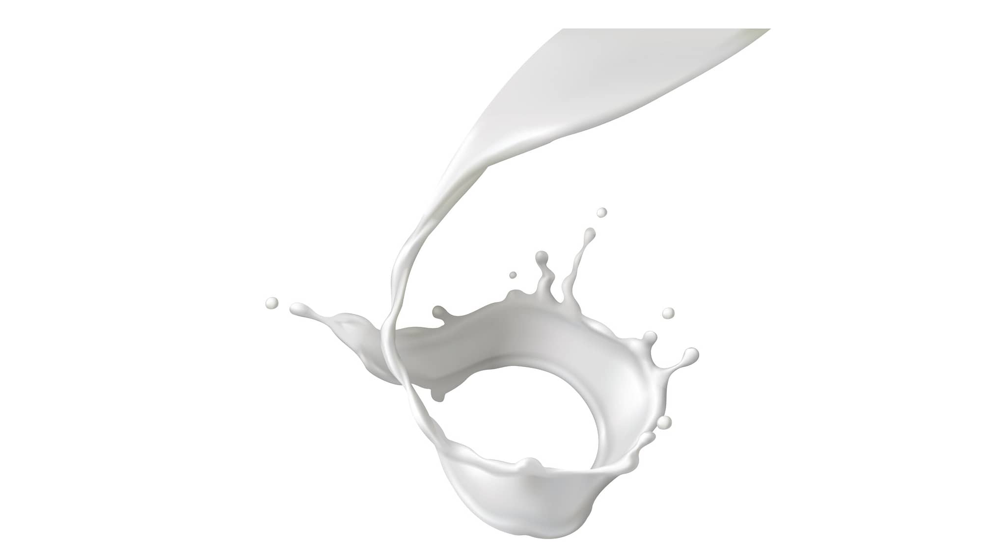 Milk splash or round swirl realistic vector illustration. Natural dairy product, yogurt or cream in crown splash with flying drops, for packaging design isolated on white background