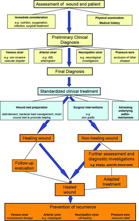 A management strategy for treatment of chronic wounds
